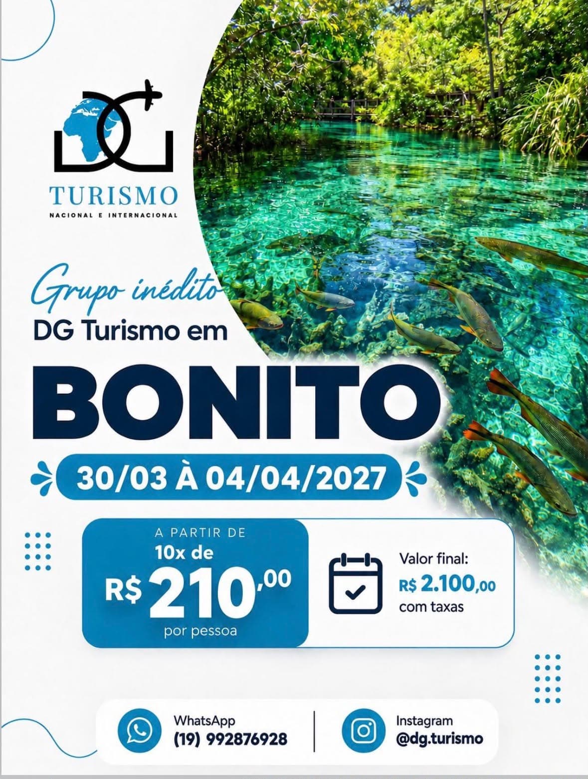 Bonito - 30/ - foto 1