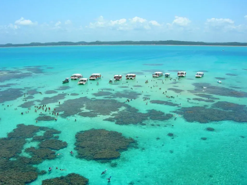 Maceió, Porto de Galinhas e Maragogi! ✈️ - foto 2