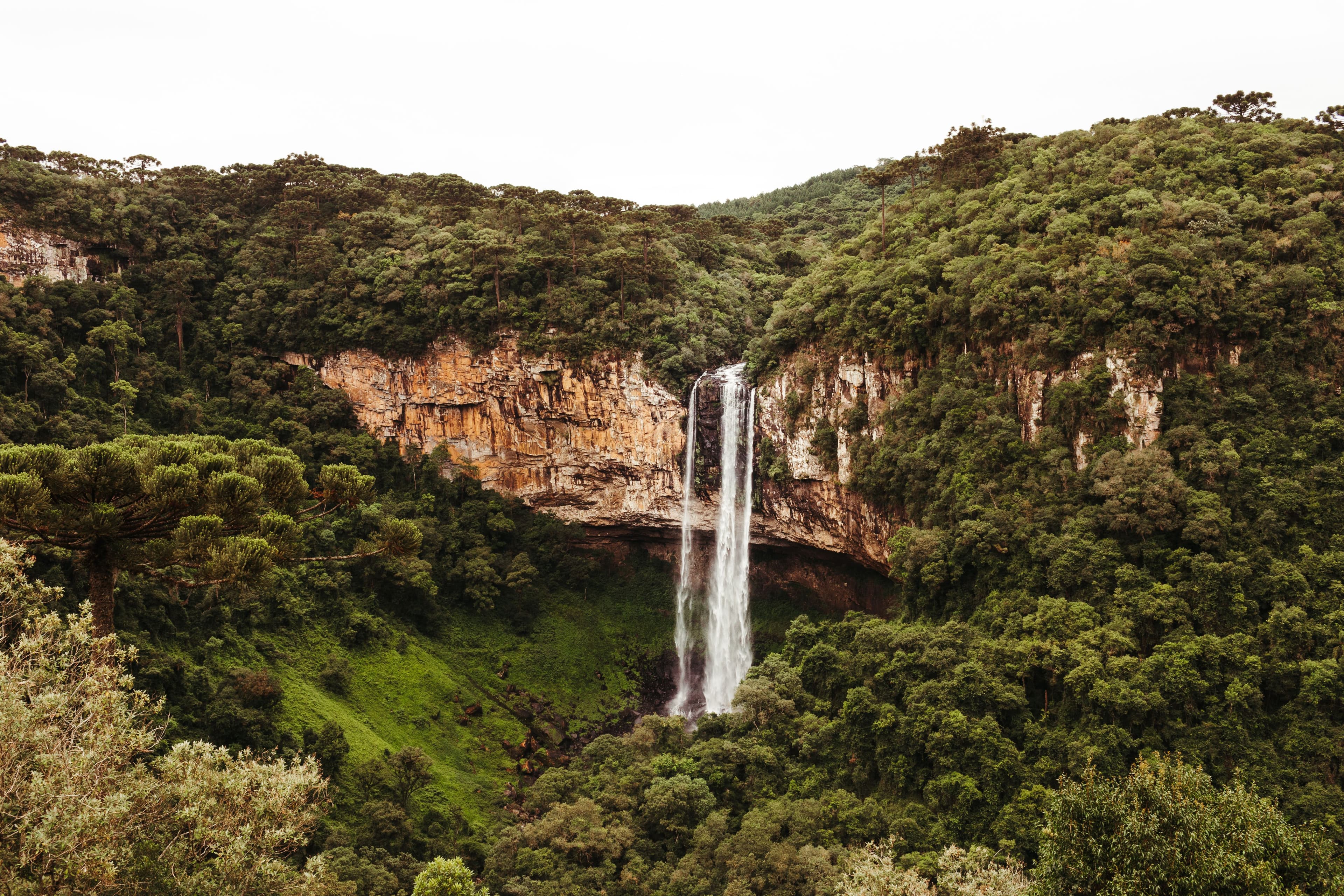 Vista majestosa da Cascata do Caracol cercada por uma floresta verdejante na Serra Gaúcha do Brasil.