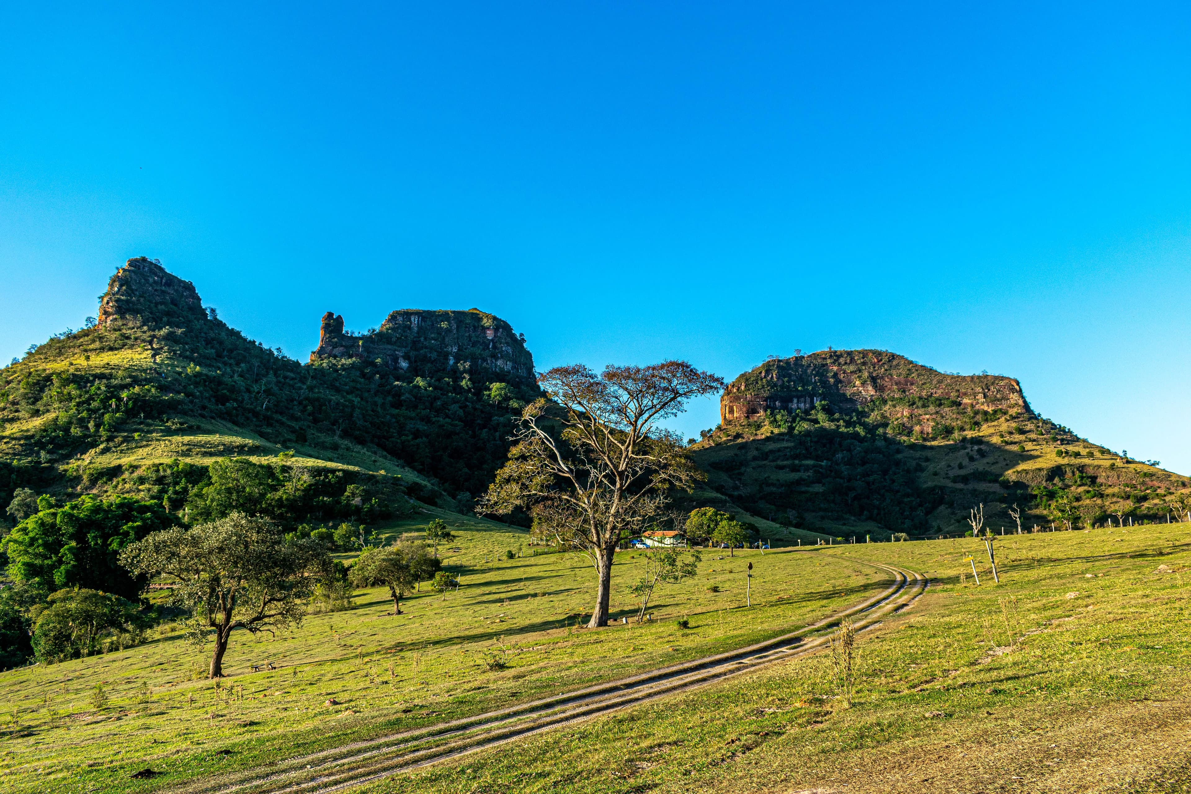 Linda paisagem das colinas de Bofete sob um céu azul claro no Brasil.